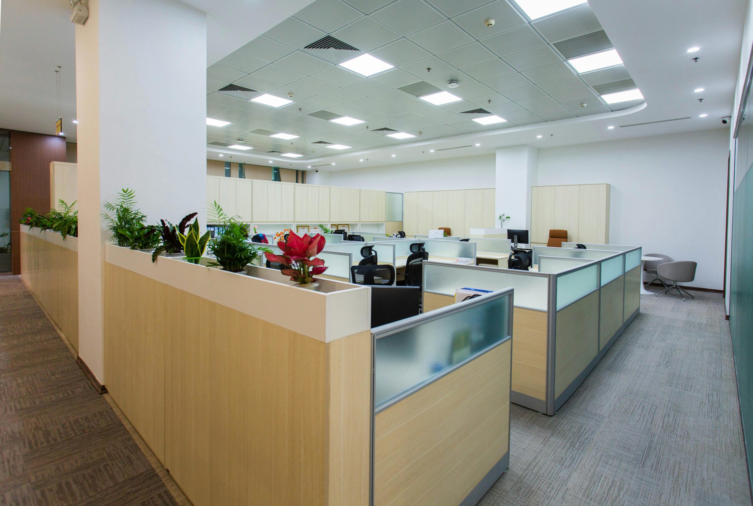 Office Space for Rent in Noida Expressway: The Complete Guide for 2026