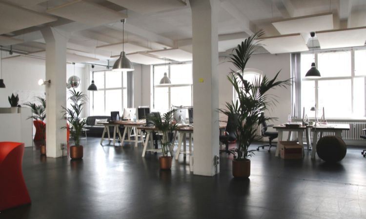 Office Rentals