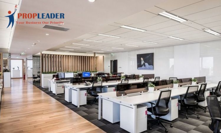 Office Rentals